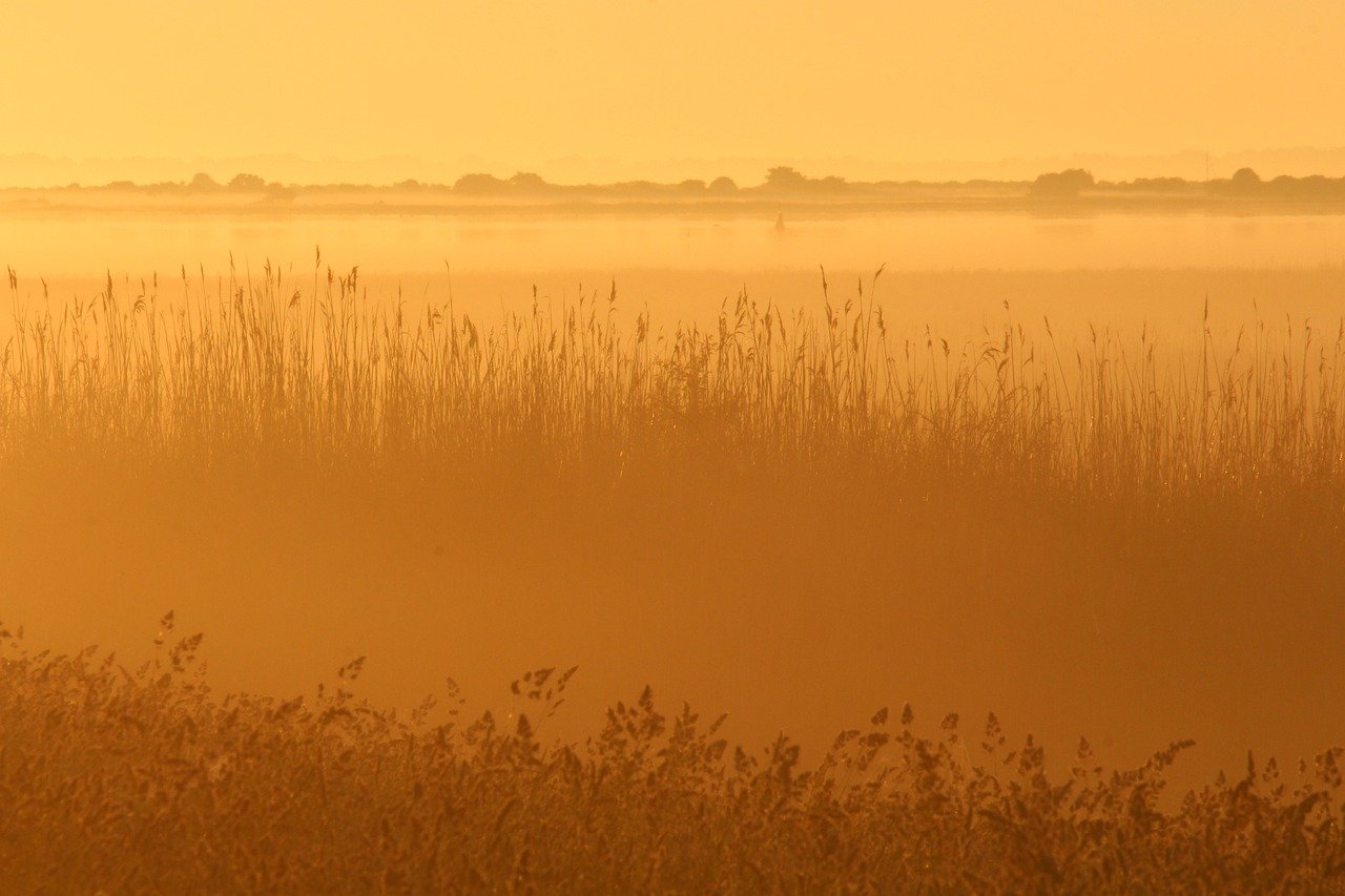 How to Create a Morning Routine That Works for You